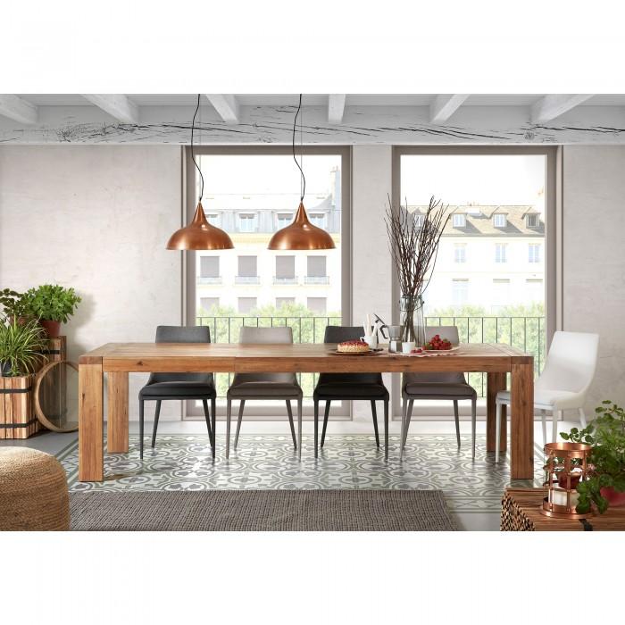 Mesa extensible Brion