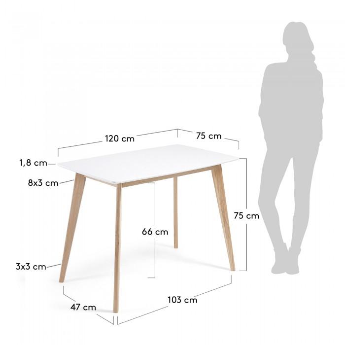 Mesa Anit