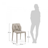Silla Graphic