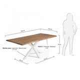 Mesa New Argo 220x100