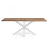 Mesa New Argo 220x100