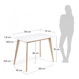 Mesa Anit